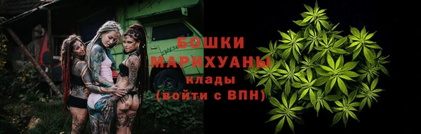 крисы Покачи