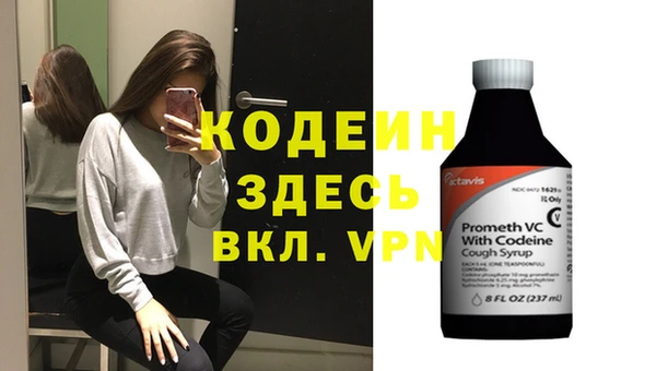 индика Покровск