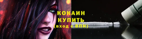 индика Покровск