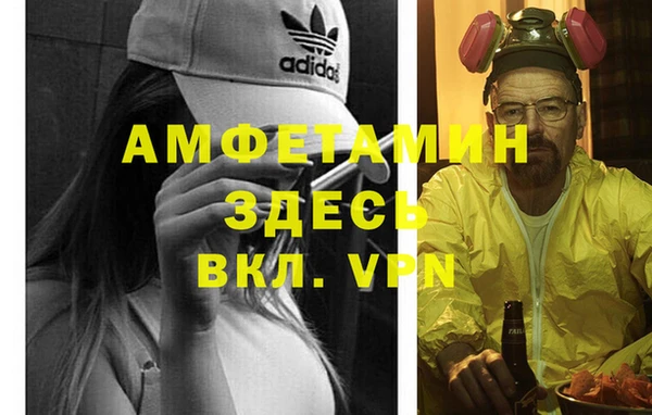 крисы Покачи